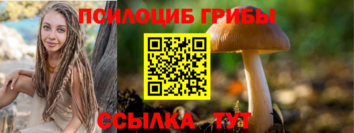 Псилоцибиновые грибы Psilocybe  Галлюциногенные грибы GOLDEN TEACHER  Ливны  Вход с VPN 